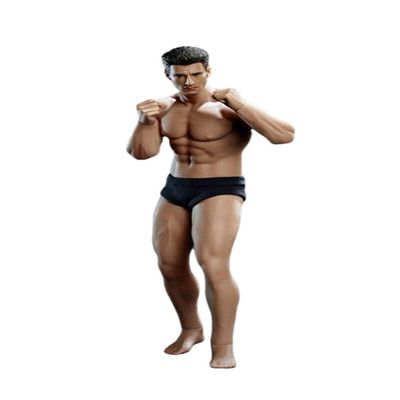 1/12 Scale Action Figure,6inch Male/Female Super-Flexible Seamless Body Doll Toy Collection (TM01A Normal Male Action Figure)