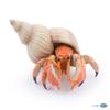 Papo - Figurine Hermit Crab Realistic - from 3 Years Old - Hand-Painted - Collection Marine World - Gift Idea for Boys and Girls - 56054 - Hermit Crab Toy - Marine Figurine - Realistic sea Creature view 4