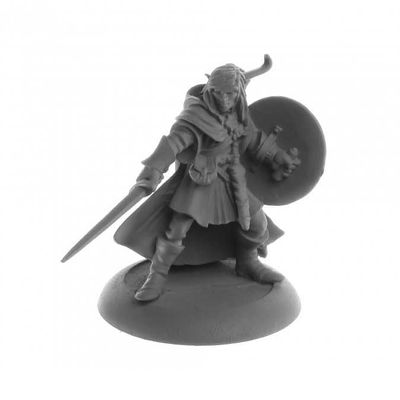 Reaper Dark Heaven Legends: Mellonir Windrunner, Elf Fighter (04084)