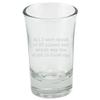 RC Planes Gift - RC Aircraft Shot Glass - RC Plane Pilot Present - Radio Controlled Aircraft - All I Care About Is Rc Planes view 1