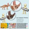 3PCS Desert Fox Figure Wolf Figurine Set Forest Woodland Animal Figurines Toys Set Plastic Animals Figure Gift for Kids Birthday 3 4 5 6 Year Old view 3