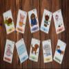 Bilingual Vietnamese English Cards, Flashcards, Bilingual Cards, Vietnamese Cards, Educational, Toddler Cards (Common Items) view 2