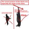 17 inch Lifesize Fake Crow Black Feathered Crow Realistic Dead Crows Combination with 95 feet Double Side Laser Tape view 3
