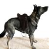 Equitem Leather Rocking Horse, Display or Dog English All Purpose Saddle with Leathers and Irons (Brown with Pink) view 3