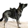 Equitem Leather Rocking Horse, Display or Dog English All Purpose Saddle with Leathers and Irons (Tan) view 3