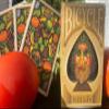 Bicycle Still Life Playing Cards by Collectable Playing Cards view 2