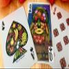 Bicycle Still Life Playing Cards by Collectable Playing Cards view 3