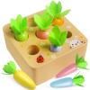 Skrtuan Wooden Toys for 3 Year Old Toddlers Baby Boys and Girls, Montessori Toy Carrot Harvest Game Shape & Sorting Matching Puzzle, Educational Developmental Birthday Gifts for Babies view 1