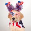 MGparty 12pcs 4th of July Headbands and Glasses for Kids Adults 4th of July Party Favors Supplies Patriotic Accessories Decorations view 4