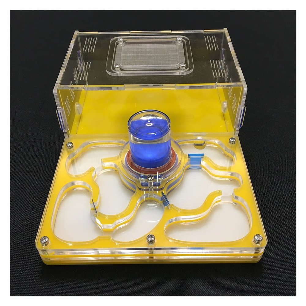 Ant Farm DIY Acryl Area Nest Transparent Ant Farm to Observe Live Ant Habitat, Ant Housing House Box Pet Mania Villa for Feeding Ants