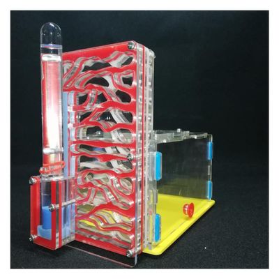 Ant Farm Large Ant Nest Acrylic Ant Farm with Feeding Area Ants House Ant Habitat Pet Mania Villa Gift for Boys & Girls (Color : Red)