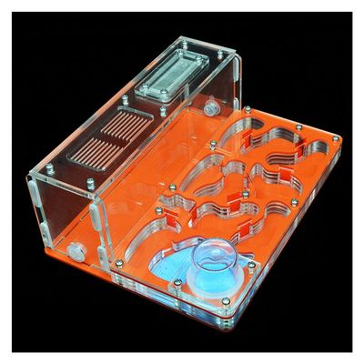 MTFZD Ant Farm Large Flat Ant Farm DIY Acrylic Ant Nest with Feeding Area Big Ant House for Pet Anthill Workshop Castle 15 * 20 * 7.5cm Gift for Boys & Girls (Color : Orange)