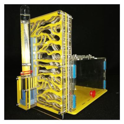 Ant Farm Large Ant Nest Acrylic Ant Farm with Feeding Area Ants House Ant Habitat Pet Mania Villa Gift for Boys & Girls (Color : Yellow)