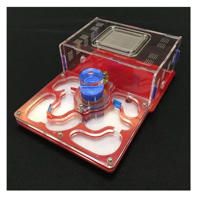 MTFZD Ant Farm Ant Farm Acrylic Ant Nest AntHouse Villa Ant Tower Display Box Educational Formicarium Habitat for Feeding Ants Great Gift for Boys & Girls (Color : Red)