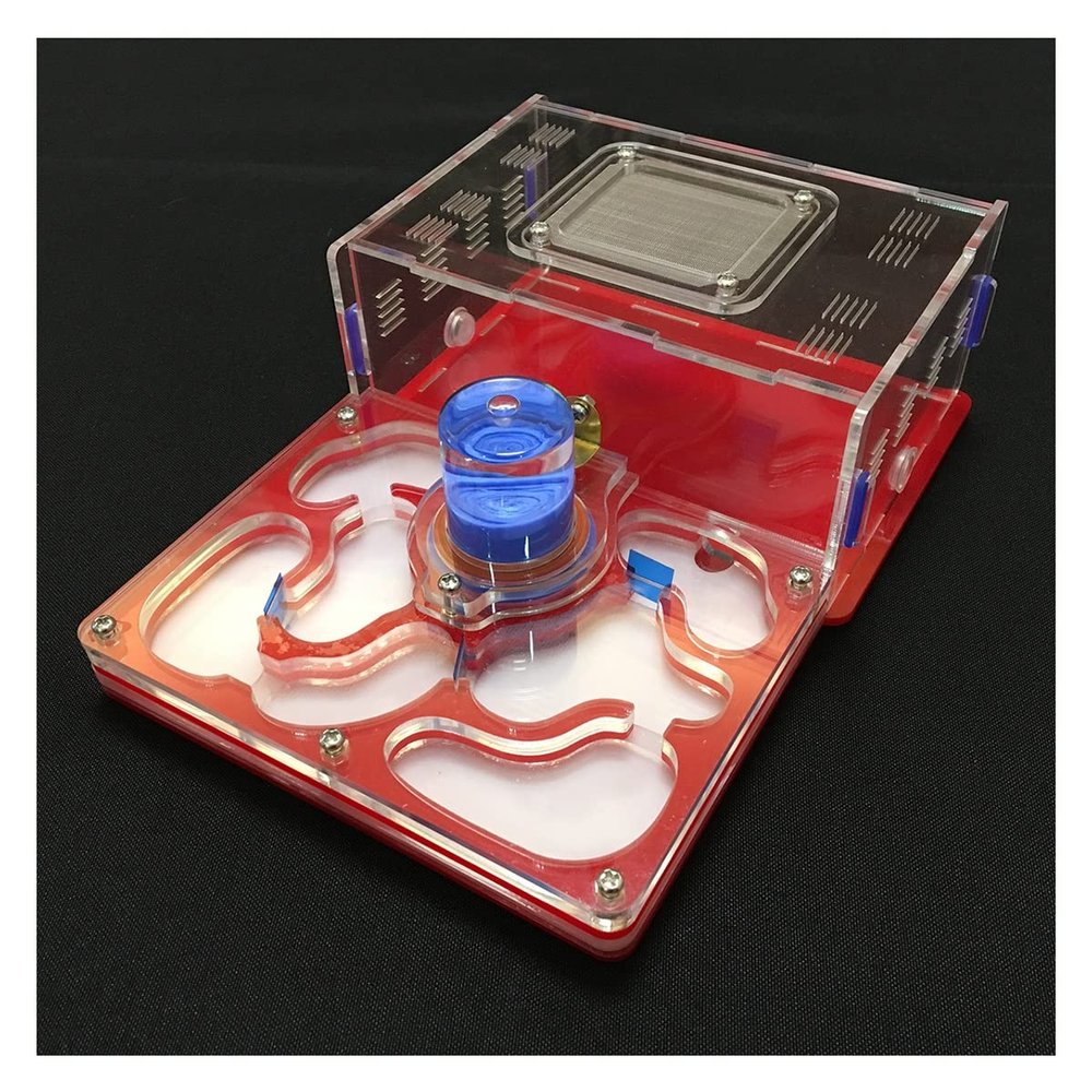 MTFZD Ant Farm Ant Farm Acrylic Ant Nest AntHouse Villa Ant Tower Display Box Educational Formicarium Habitat for Feeding Ants Great Gift for Boys & Girls (Color : Red)