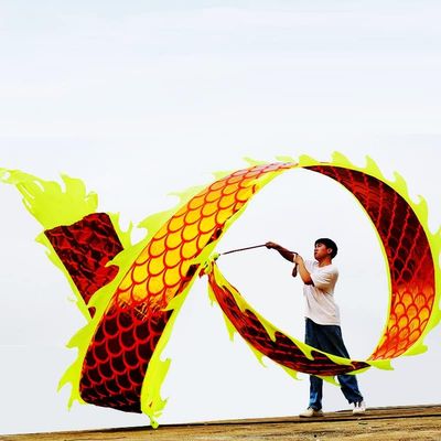 DSJUGGLING 3D Dragon Poi with 340g Weighted Ball & 1.1 Meters Swing Rope - Silk Flowy Shaking & Flinging Chinese Golden Dragon Ribbon Streamer + Travel Bag! (6 Meters (19.6 FT), Golden Gold Dragon)