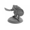 Dark Heaven Legends: Orc of The Ragged Wound Tribe view 1