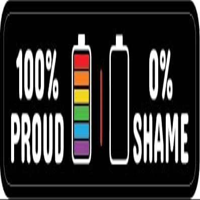 100% Proud 0% Shame | LGBT |Great Gift Idea|Decal Sticker|2 Pack|5 Inch Stickers|S10465