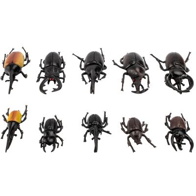 Bbiamsleep 10pcs Beetle Figurine Realistic Beetles Figure Models Garden Animal Simulated Beetle Figures