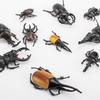 Bbiamsleep 10pcs Beetle Figurine Realistic Beetles Figure Models Garden Animal Simulated Beetle Figures view 2