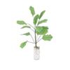 SXFSE Dollhouse Decoration Accessories, 1:12 Miniature Scene Model Mini Green Plants Banana Tree Home Decor view 1