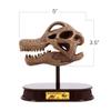 ArtCreativity Dinosaur Excavation Kit for Kids, Brachiosaurus Skull Excavating Set with Fossil Digging Tools and Stand, Fun Science Activity Toy, Educational Dinosaur Gift for Boys and Girls view 4