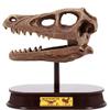 ArtCreativity Dinosaur Excavation Kit for Kids, Velociraptor Skull Excavating Set with Fossil Digging Tools and Stand, Fun Science Activity Toy, Educational Dinosaur Gift for Boys and Girls view 1
