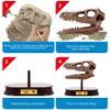 ArtCreativity Dinosaur Excavation Kit for Kids, Velociraptor Skull Excavating Set with Fossil Digging Tools and Stand, Fun Science Activity Toy, Educational Dinosaur Gift for Boys and Girls view 4