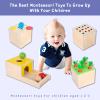 Adena Montessori 4 in 1 Wooden Play Kit Baby Toys,Object Permanence Box,Matchstick Color Drop Game,Carrot Harvest and Coin Box,Ball Drop Toy for Kid 1,2,3 Year Old,Girl Boy Gift for Baby 6-12 Month view 3