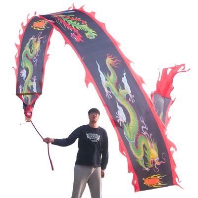 Aldult Elderly Dragon Dance Ribbon, Silk Flowy Spinning Dance Poi, Extra Long Streamer for Spring Outing, Party Celebration (Color : Black, Size : 6m/20f)