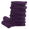 16 Pack Baby Washcloths - Luxury Coral Fleece - Extra Absorbent and Soft Wash Clothes for Newborns, Infants and Toddlers - Suitable for Sensitive Skin and New Born - Baby Shower - Plum, 10x10 Inch view 1