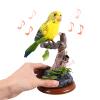 NUOBESTY Talking Parrot Toy Interactive Electric Talking Bird Pets Repeat What You Say Parrot Sound Recording Voice Repeating Funny Electronic Pets Kids Adults Outdoor Garden Office Home Decoration view 2