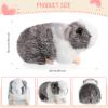 Aoriher 2 Pcs Cute Guinea Pig Stuffed Animal 8 Inch Soft Guinea Pig Plush Toys Nice Gift for Boys Girls Christmas Birthday Themed Party Supplies(Black, Gray) view 2
