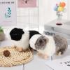Aoriher 2 Pcs Cute Guinea Pig Stuffed Animal 8 Inch Soft Guinea Pig Plush Toys Nice Gift for Boys Girls Christmas Birthday Themed Party Supplies(Black, Gray) view 4