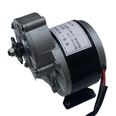 Jinxiaobei Lcuihua-dc Motor MY1016Z2 Wheelchair Motor, Geared Motor 24V 250W/350W, Electric Bike Motor, Balance Bike Motor Voltage(V) : 12V 250W