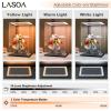 LASOA Acrylic Display Case for Collectibles with LED Light, Alternative Glass Display Box With Black Base and Lid, Self-Assembly Clear Storage Showcase for Figurine Memorabil (12x12x12inch;30x30x30cm) view 4