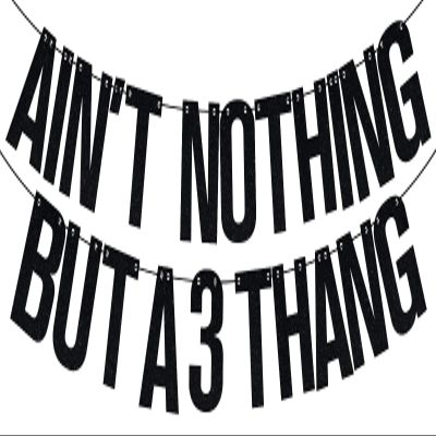 Ain't Nothing But a 3 Thang Banner, 3rd Birthday Banner, Child's 3rd Birthday Party Decoration Supply Black Glitter