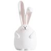 Piggy Bank Piggy Bank Animal Rabbit Money Bank with Long Ears, High-Capacity Resin Coin Bank, Girl Bedroom Desktop Ornament, Cartoon Fun Matte Toy, 2 Styles (Color : White, Size : A) view 1