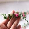 SXFSE Dollhouse Accessories, 1:12 Dollhouse Miniature Model Mini Garden Scene Fringe Flower Vine view 2