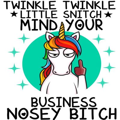 Twinkle Twinkle Little Snitch Mind Your Business Nosey Bitch |Great Gift Idea |Single |5 Inch Magnet | Made in The USA | Car Auto Tool Box Refrigerator Magnet|MAG10364