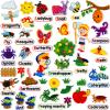 PENGFULL Felt Flannel Board Story Pieces for Toddlers Preschool,Kids Interactive Storytelling Teaching Play Kits for Flannel Board,with Words Felt Pieces(Insect Butterfly) view 1
