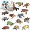 Volnau Mini Sea Turtle Figures 14PCS Animal Toys Figurines for Kindergarten Toddlers Kids Ocean Sea Creature Cake Topper Pack view 1