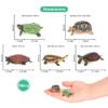 Volnau Mini Sea Turtle Figures 14PCS Animal Toys Figurines for Kindergarten Toddlers Kids Ocean Sea Creature Cake Topper Pack view 3