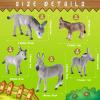 Deekin 9 Pcs Donkey Figurine Miniature Toy Donkey Small Plastic Animal Figurine Party Favors Realistic Farm Toys Simulated Model Little Preschool Figure Cake Topper for Collection Birthday Gifts view 2