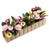 Miniature Potted Plant Flower Colorful 1:12 Mini Dollhouse Fairy Garden Bonsai Plant Clay Model Micro Landscape Decoration view 1