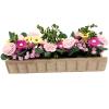 Miniature Potted Plant Flower Colorful 1:12 Mini Dollhouse Fairy Garden Bonsai Plant Clay Model Micro Landscape Decoration view 4