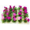 20Pcs Miniature Flower Cluster Grass Flower Tufts for Mini Dollhouse Fairy Garden Railway Simulated Static Scenery Micro Landscape Model (Rose) view 1