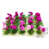 20Pcs Miniature Flower Cluster Grass Flower Tufts for Mini Dollhouse Fairy Garden Railway Simulated Static Scenery Micro Landscape Model (Rose) view 4