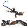 Aiffort 2Pcs Realistic Fake Lizards Artificial Lizards Model for Halloween and April Fool's Day Pranks Decoration view 2