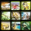 SeptCity 3D View Toy for Kids, Classic Discovery Animal Dinosaur Viewer Set Viewfinder with 4 Reels (Navy) view 4